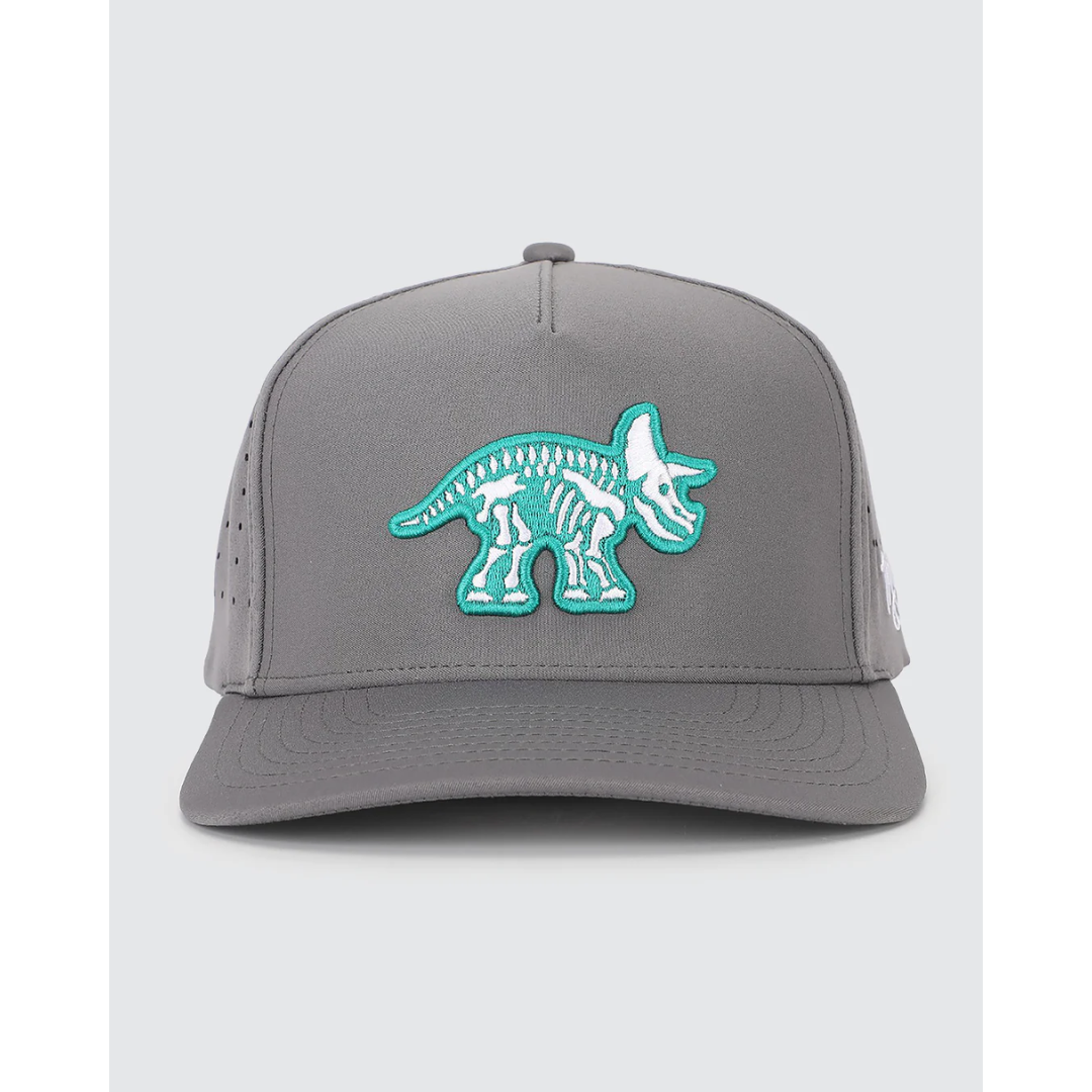 Triceraputts Hat