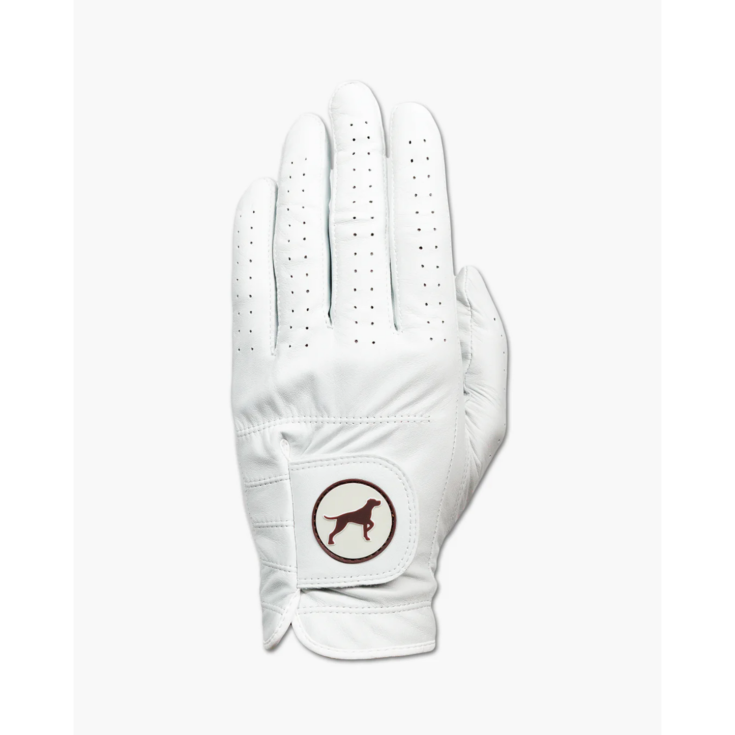 Premium Golf Glove - Bird Dog